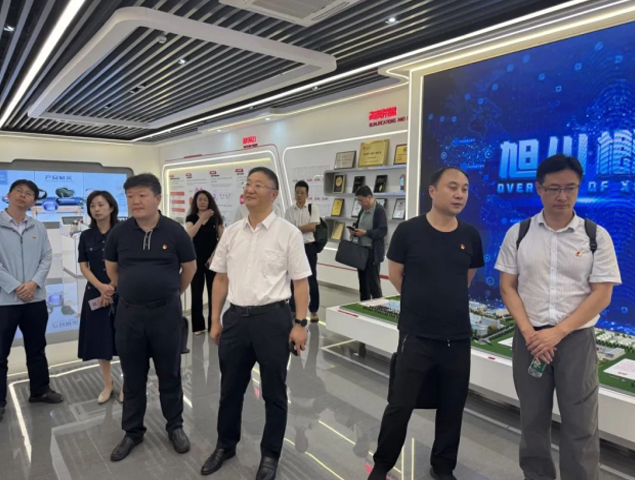 江蘇省工信廳領導蒞臨旭川化學調(diào)研指導